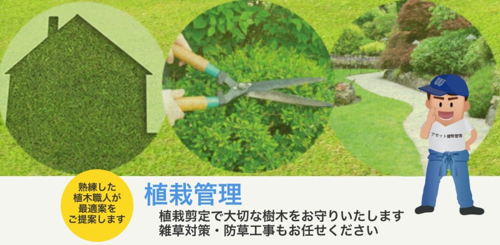 植栽剪定はどの時期がおすすめ Works With Bmクラウド